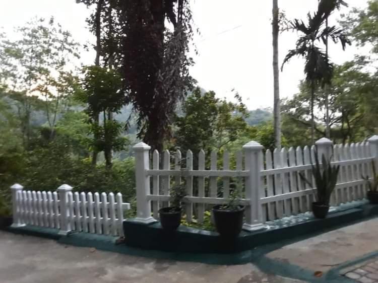 Villa25 Homestay Free Pick Up From The Centre Kandy Buitenkant foto