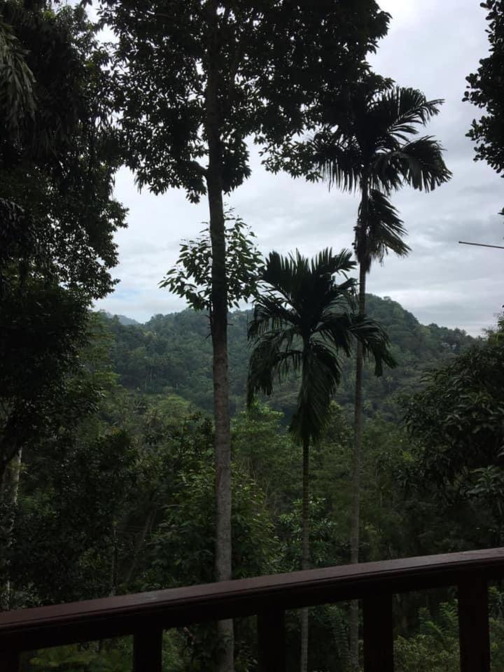 Villa25 Homestay Free Pick Up From The Centre Kandy Buitenkant foto